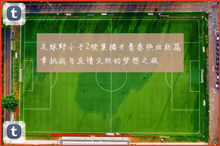 足球野小子2续集揭开青春热血新篇章挑战与友情交织的梦想之旅