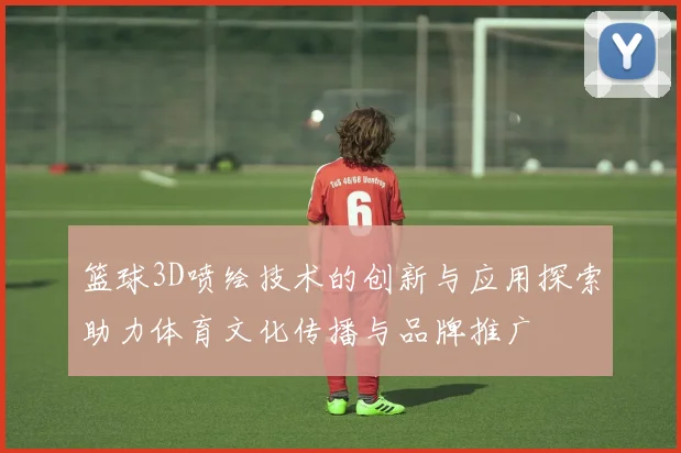 篮球3D喷绘技术的创新与应用探索助力体育文化传播与品牌推广