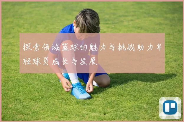 探索领域篮球的魅力与挑战助力年轻球员成长与发展