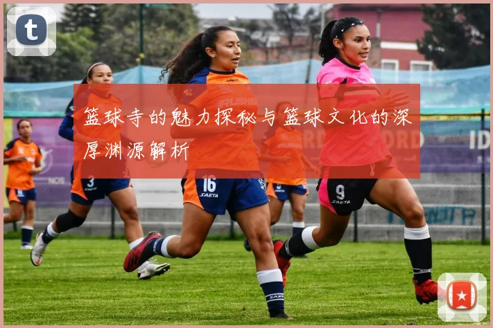 篮球寺的魅力探秘与篮球文化的深厚渊源解析