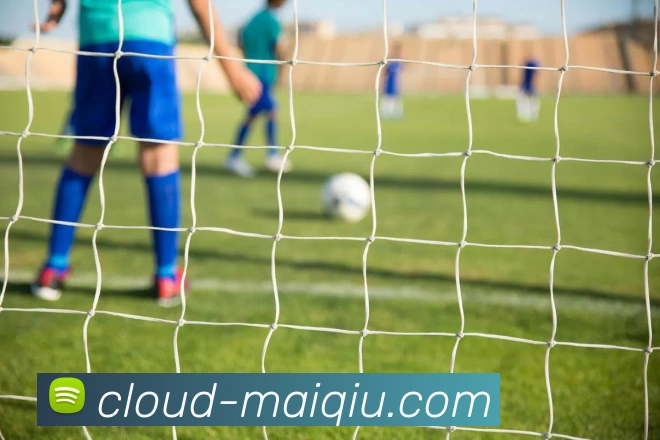 买球站平台生态图